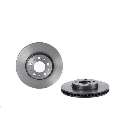 Brembo Brake Rotor / Uv Coated, 09.5568.21 09.5568.21